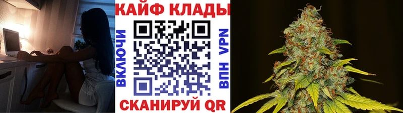 Как найти наркотики Кингисепп СОЛЬ Амфетамин Гашиш