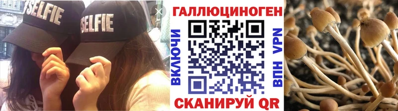 Галлюциногенные грибы мицелий  OMG онион  Кингисепп 
