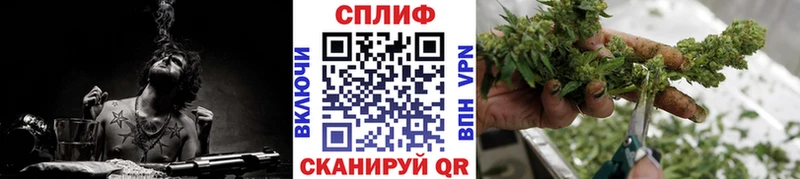 mega маркетплейс  Кингисепп  Канабис сатива 